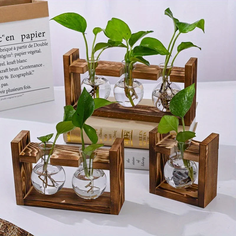 Plant Growth Regulator - Tabletop Glass Planter Propagation Station Hydroponic