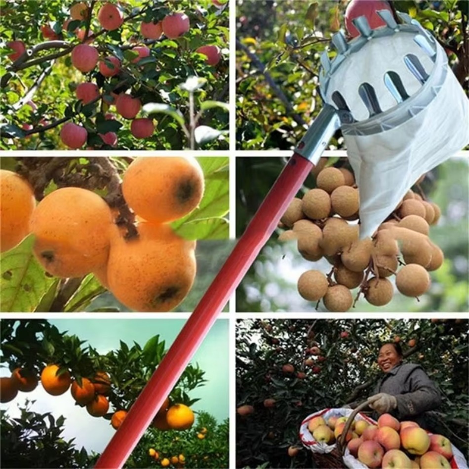 Multi Purpose Telescopic Galva - Agriculture Gardening Farming avis et prix