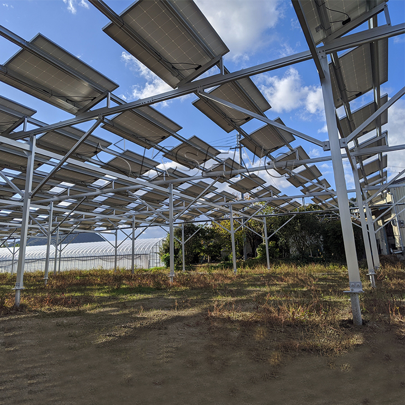 1MW for PV Agricultural Photov - Agriculture Farming Services avis et prix
