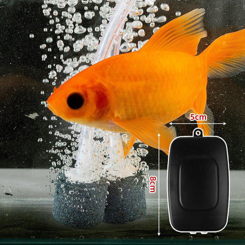 Mini Aquarium Air Pump Kit Oxy - Aquaculture Aerator Pump avis et prix
