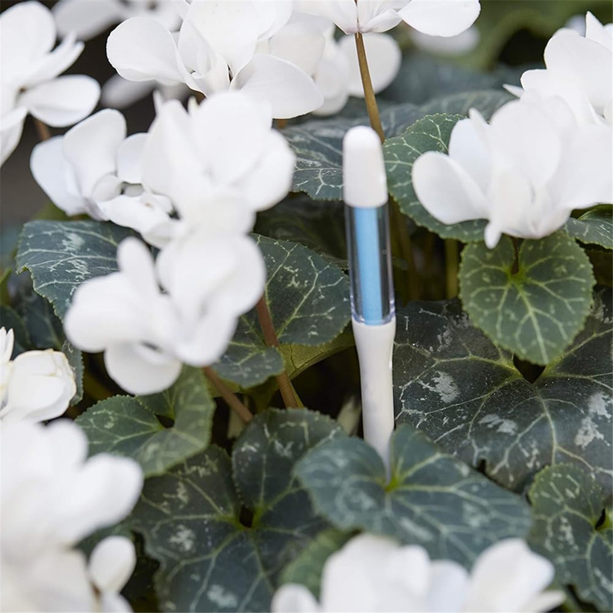 ABNJ Aquameter, 5pcs, Plant So - Soil Moisture Sensor avis et prix