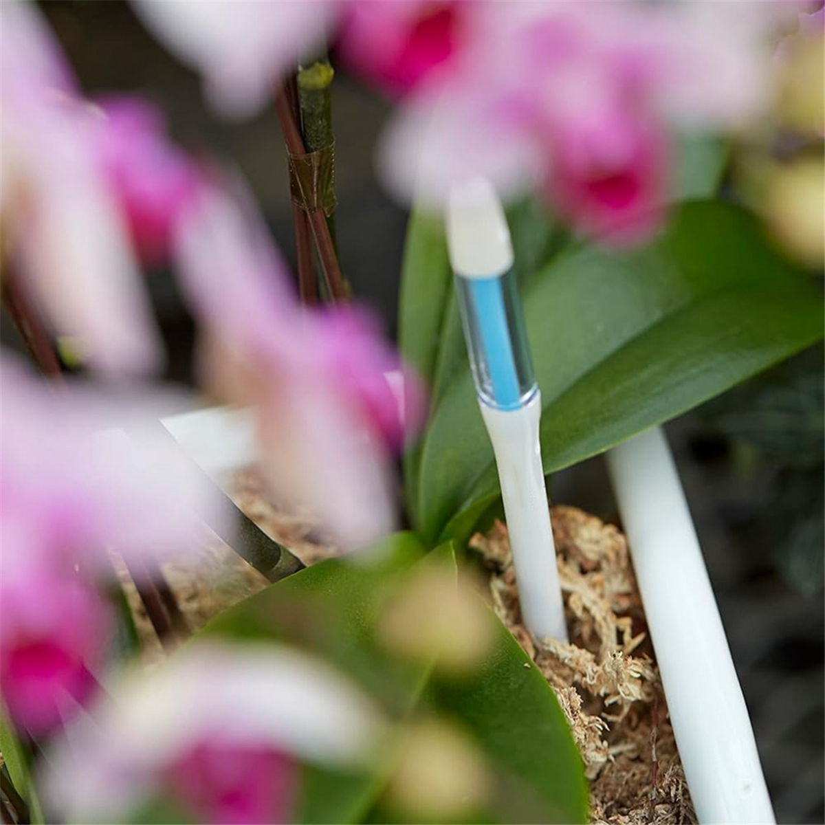 ABNJ Aquameter, 5pcs, Plant So - Soil Moisture Sensor avis et prix