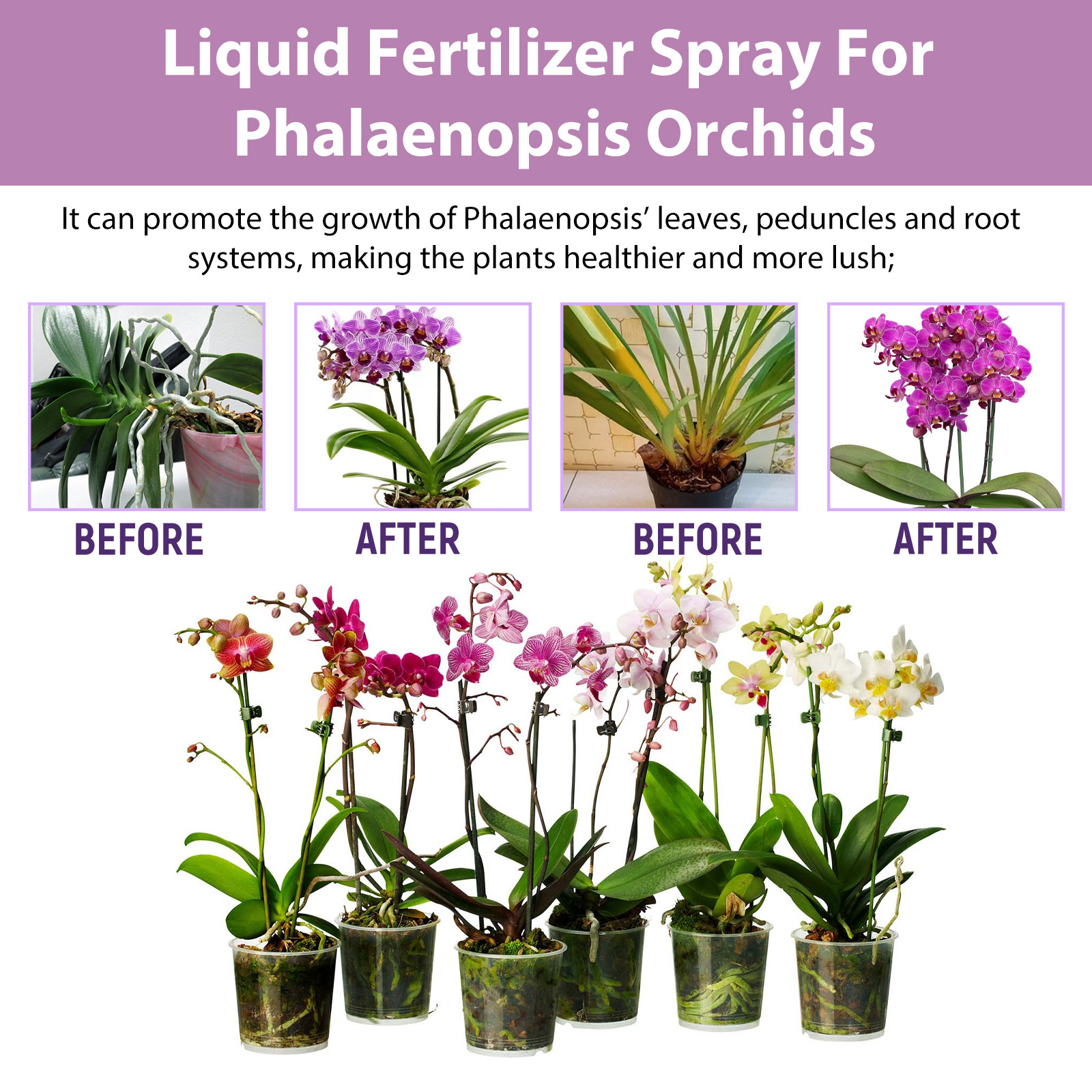 100ml Orchid Bloom Booster Spr - Orchard Sprayer Tractor avis et prix