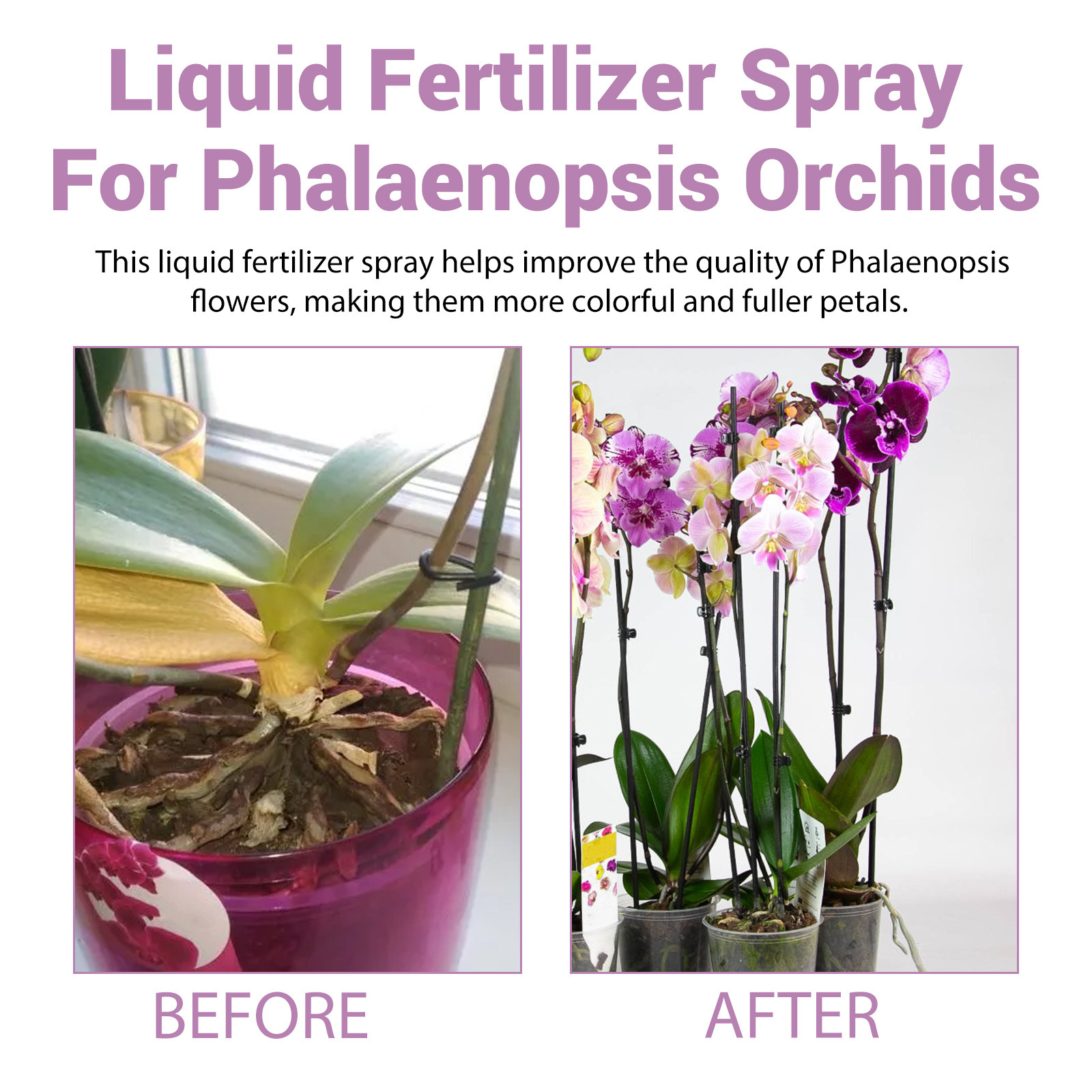 100ml Orchid Bloom Booster Spr - Orchard Sprayer Tractor avis et prix