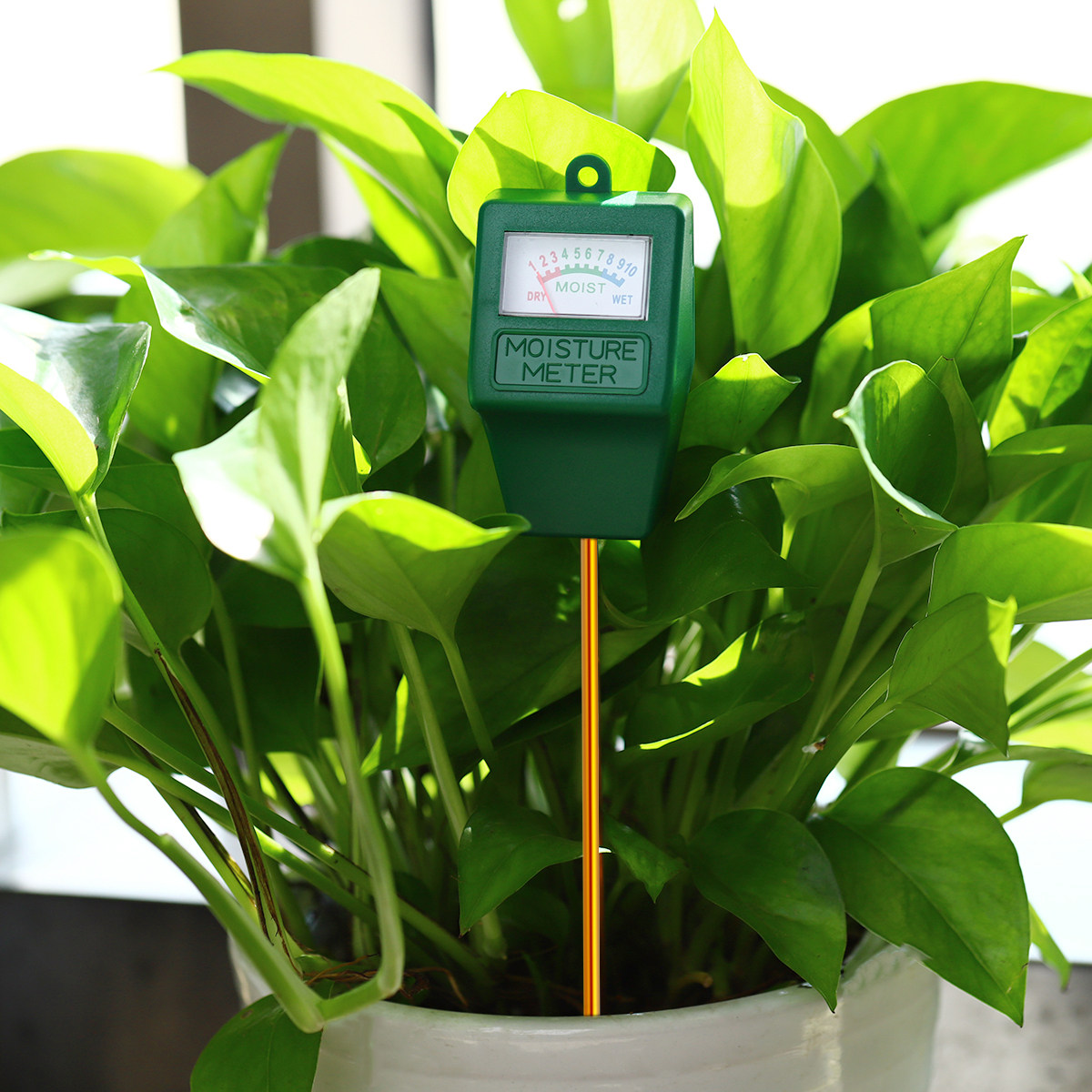 Soil Moisture Meter Precise Mo - Soil Moisture Sensor avis et prix