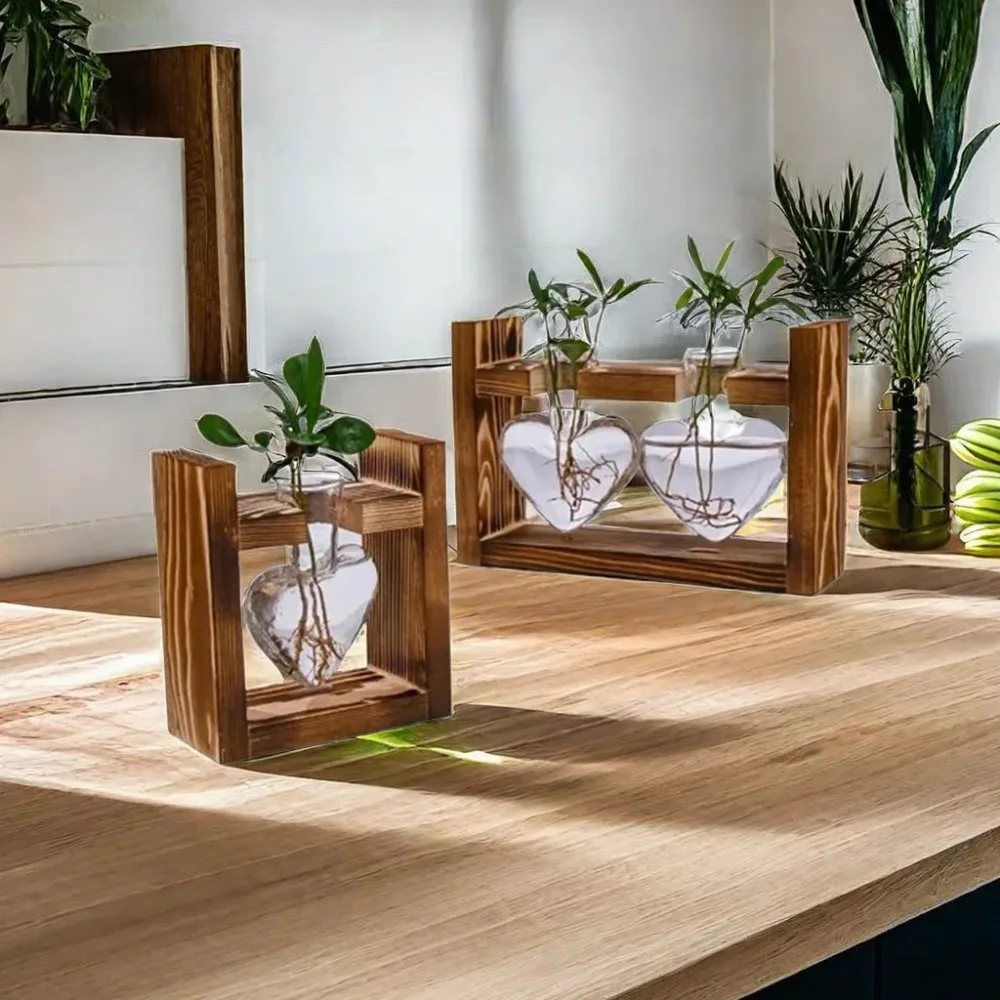 Tabletop Glass Planter Propaga - Plant Growth Regulator avis et prix
