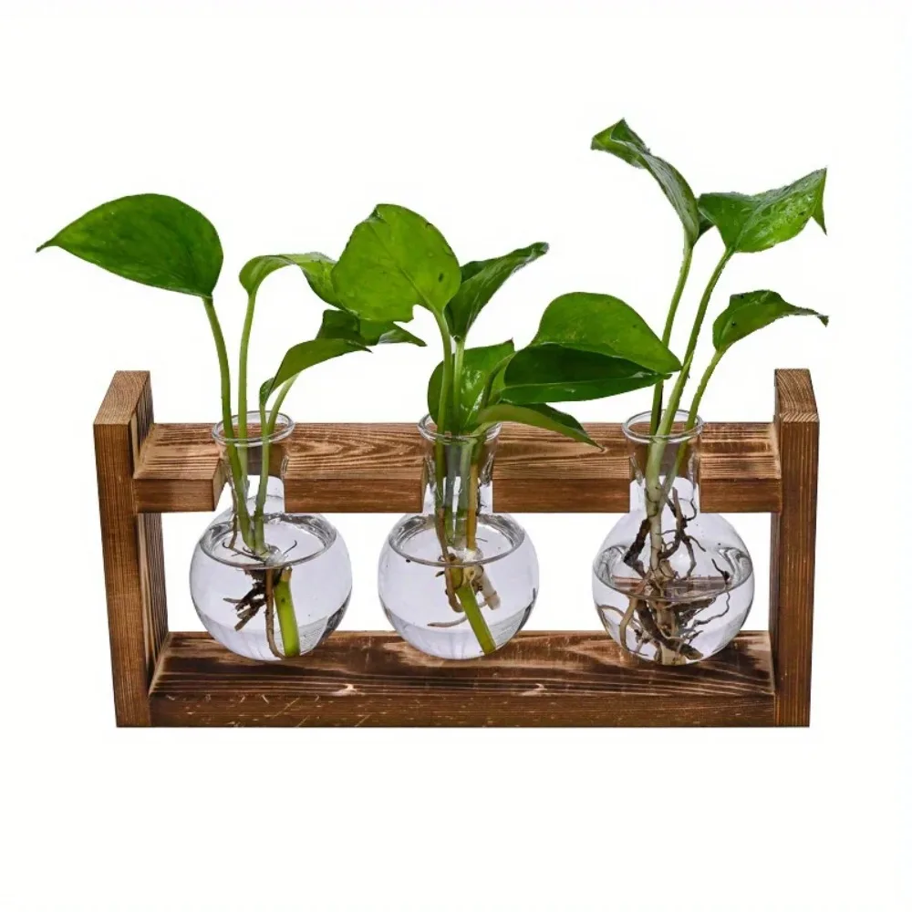 Tabletop Glass Planter Propaga - Plant Growth Regulator avis et prix