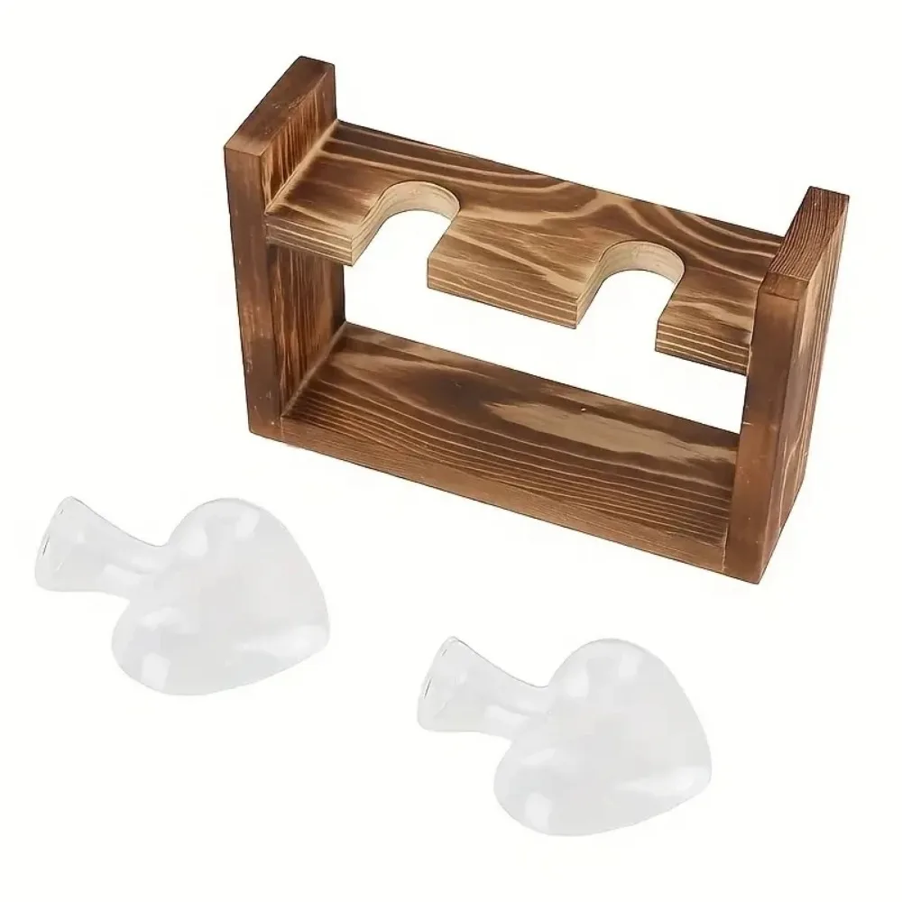 Tabletop Glass Planter Propaga - Plant Growth Regulator avis et prix