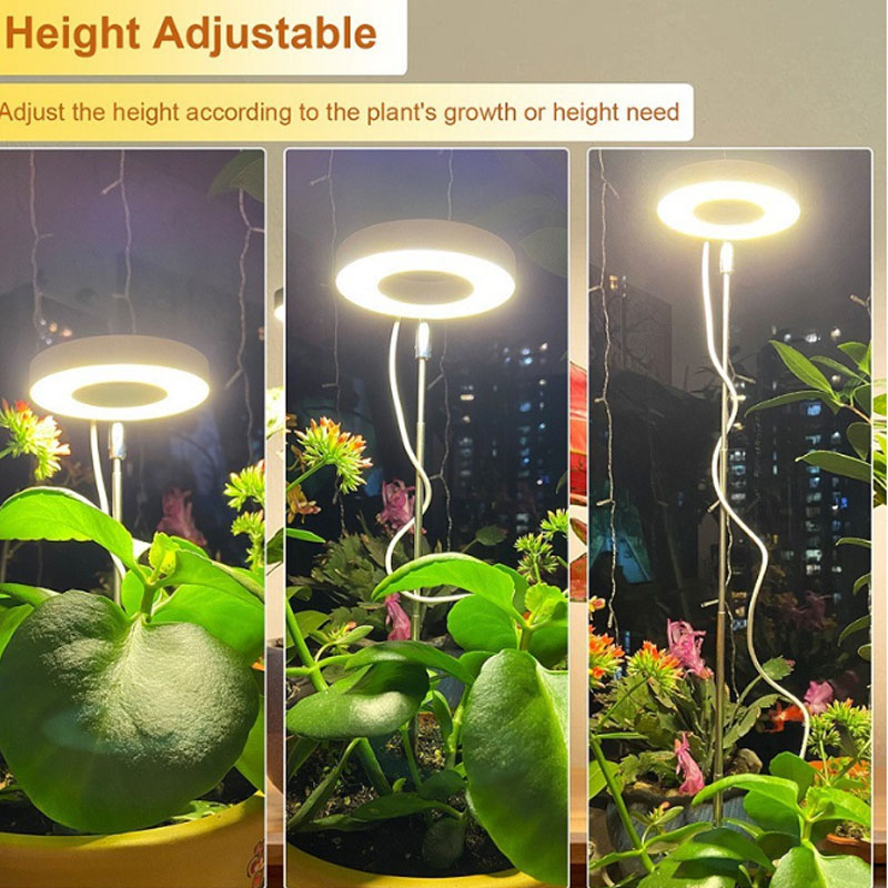 LED Grow Light Full Spectrum P - Plant Growth Regulator avis et prix