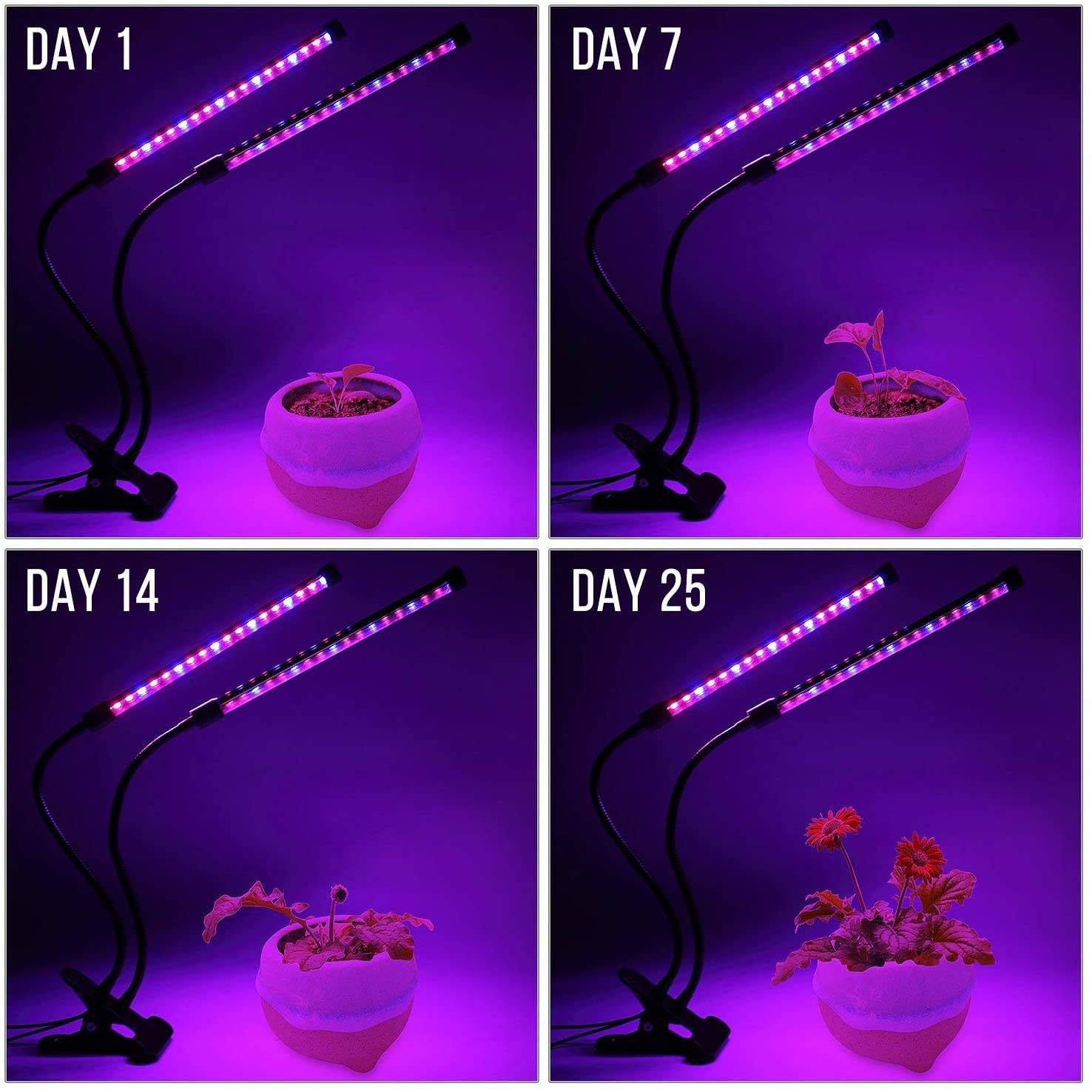 USB LED Plant Grow Light Indoo - Plant Growth Regulator avis et prix