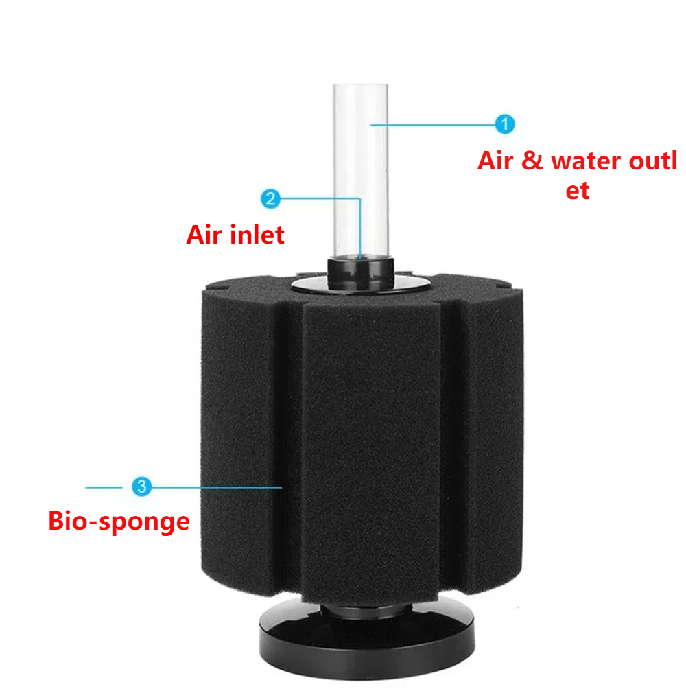 Aquarium Filter Sponge For Fis - Aquaculture Aerator Pump avis et prix