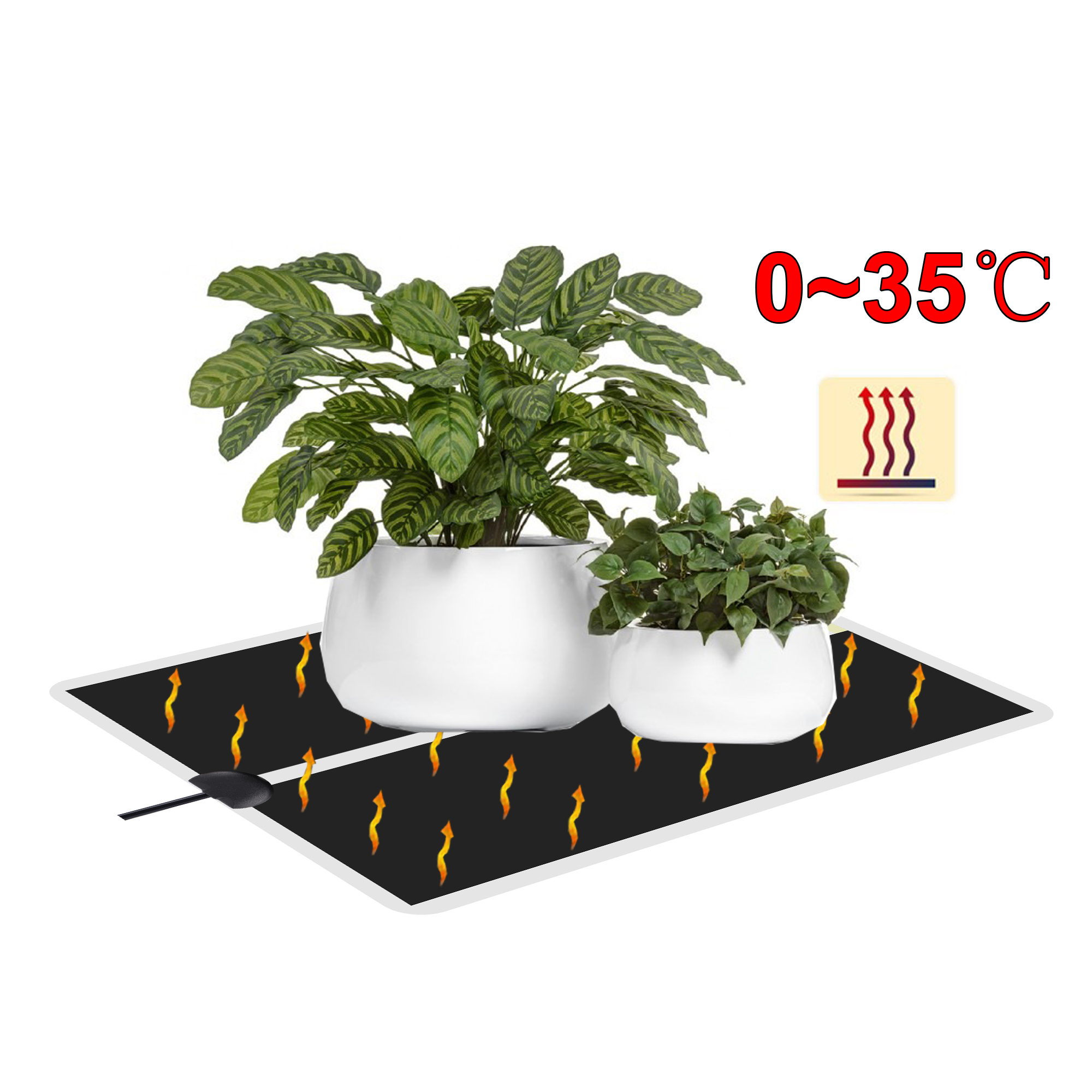 5~45W Seedling Heat Mat 220V~2 - Plant Growth Regulator avis et prix