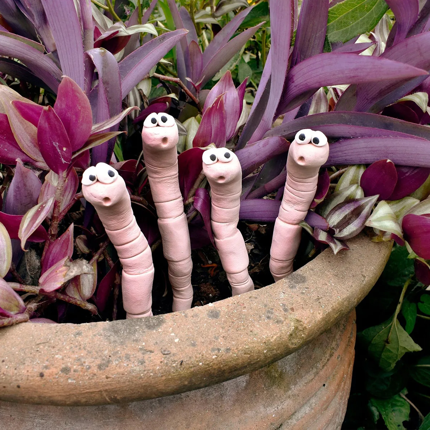 Adorable Thirsty Worm Moisture - Soil Moisture Sensor avis et prix