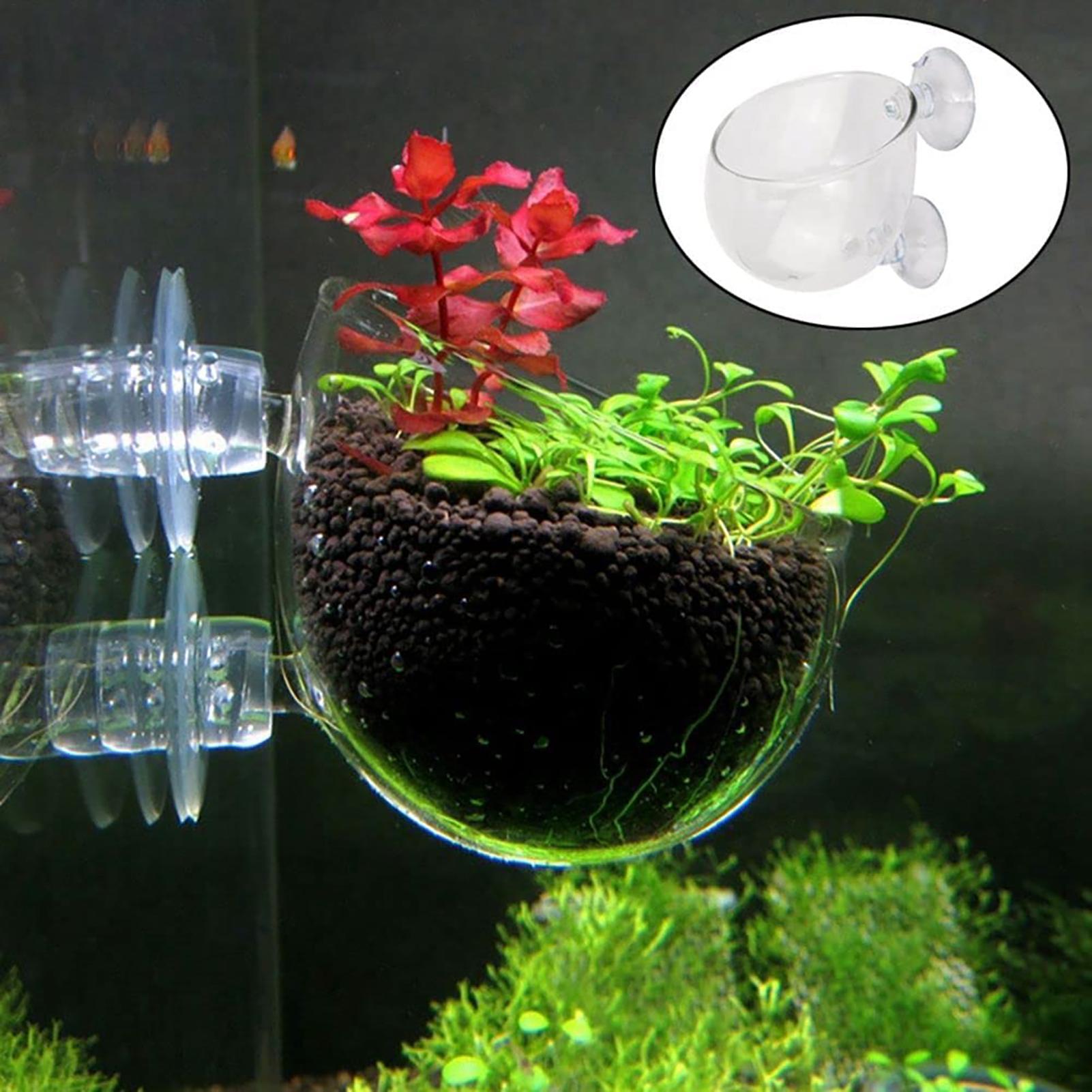 Aquatic Plant Pot Clear Acryli - Plant Growth Regulator avis et prix