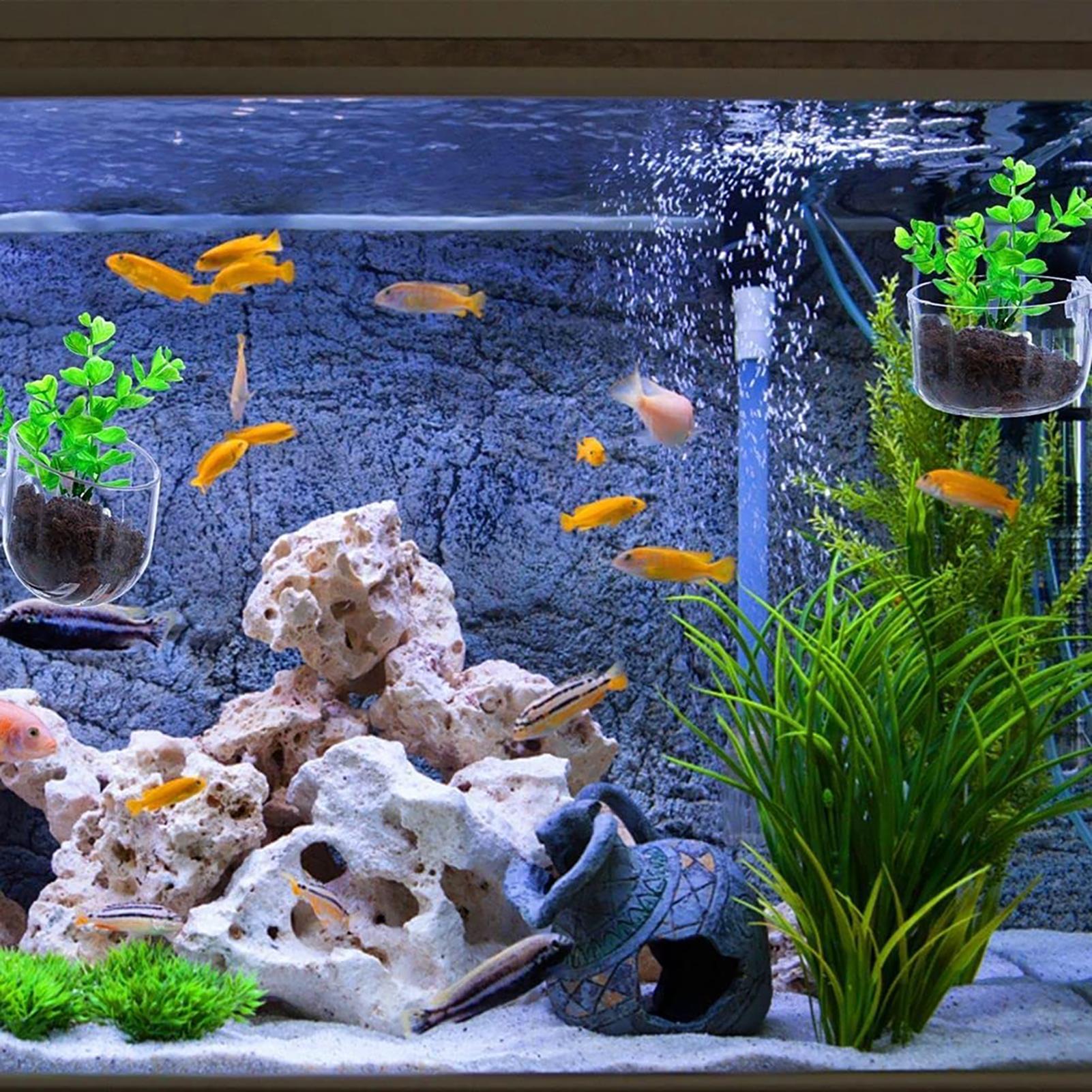 Aquatic Plant Pot Clear Acryli - Plant Growth Regulator avis et prix