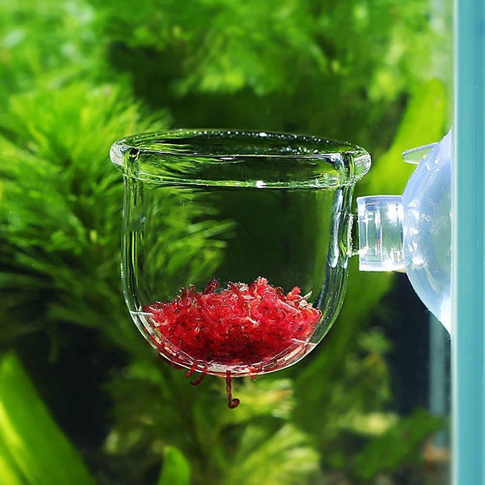 Aquatic Plant Pot Clear Acryli - Plant Growth Regulator avis et prix