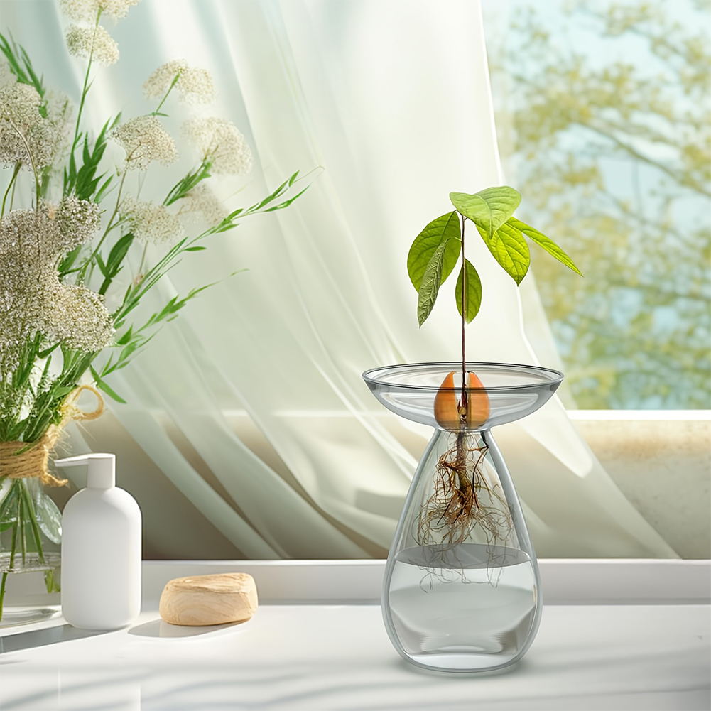 Avocado Seed Starter Vase Tran - Plant Growth Regulator avis et prix