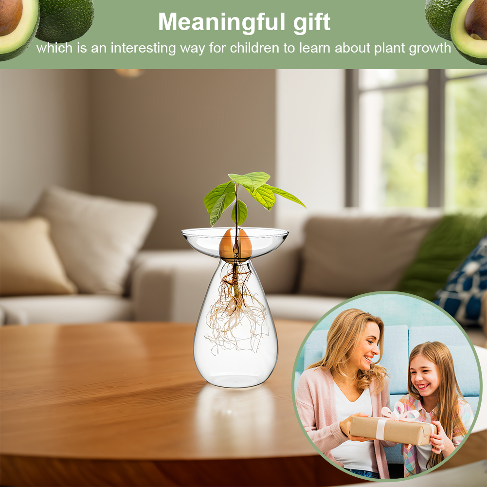 Avocado Seed Starter Vase Tran - Plant Growth Regulator avis et prix