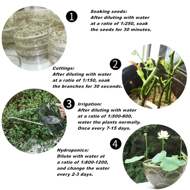 10g Quickly Rooting Powder Hor - Plant Growth Regulator avis et prix