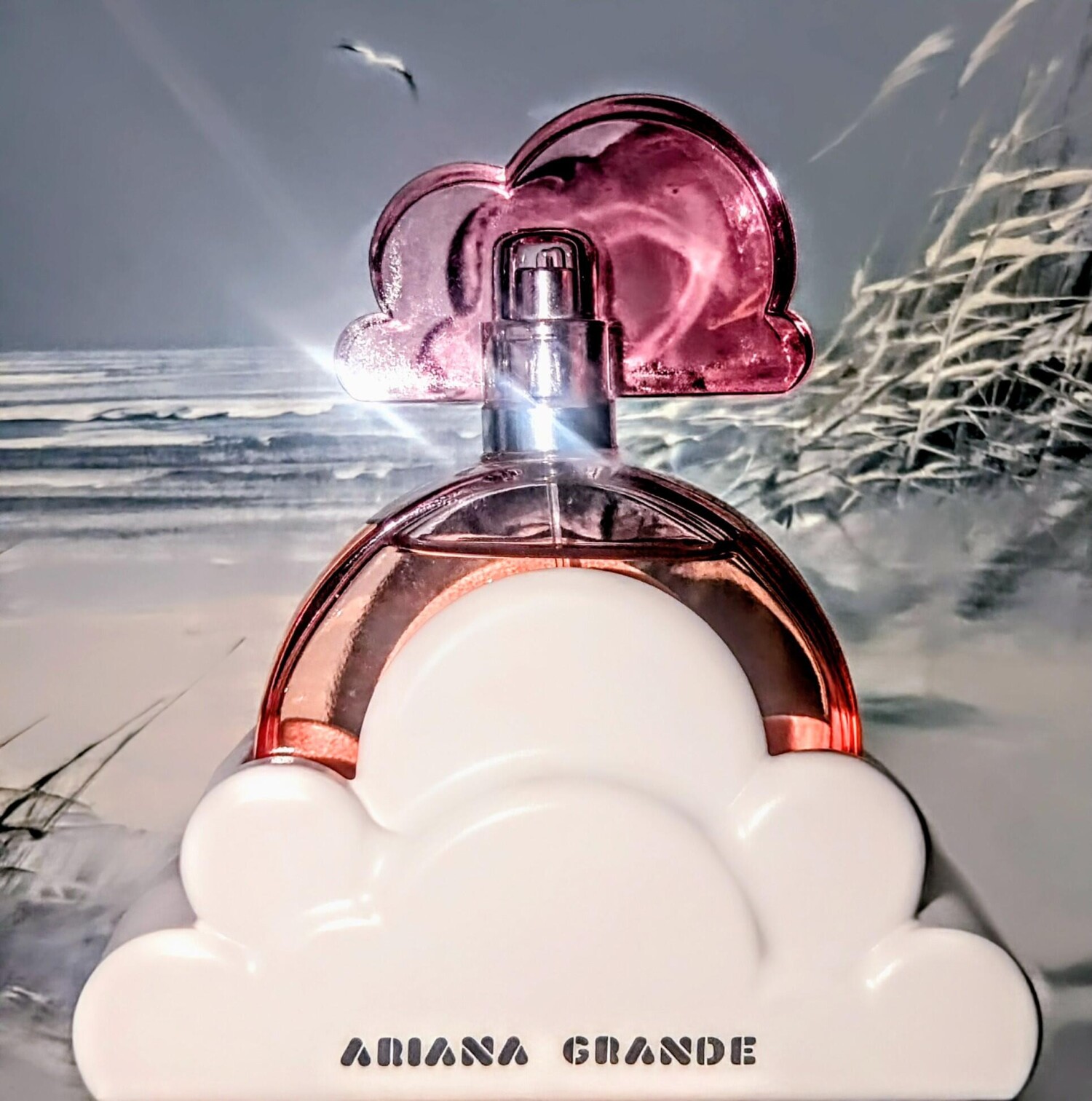 Ariana Grande Perfume for Wome - Orchard Sprayer Tractor avis et prix