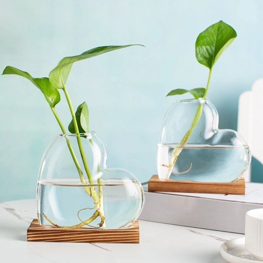 Transparent Hydroponic Glass V - Plant Growth Regulator avis et prix