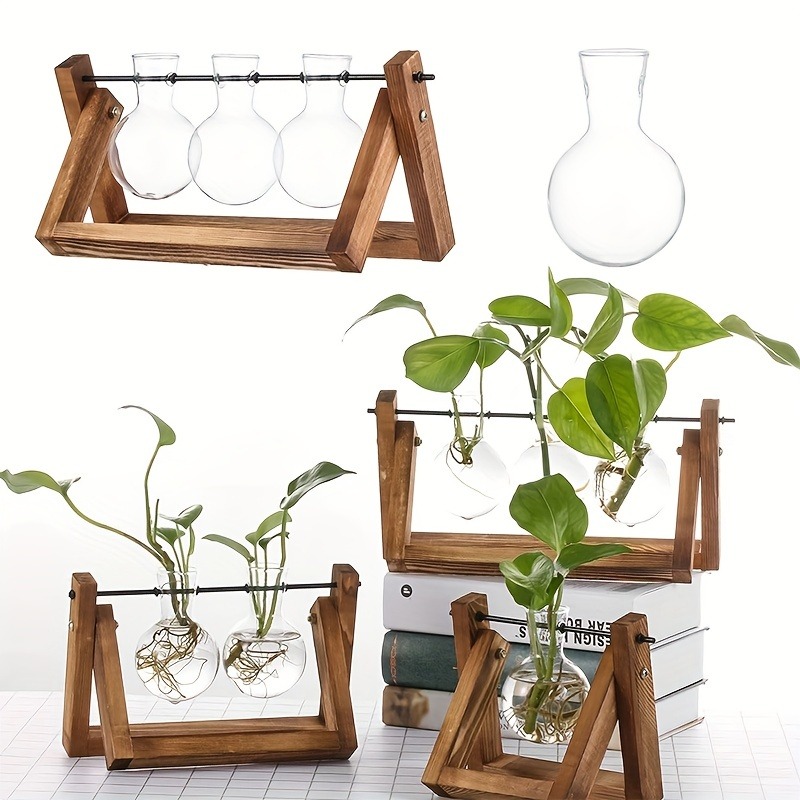 Tabletop Glass Planter Propaga - Plant Growth Regulator avis et prix