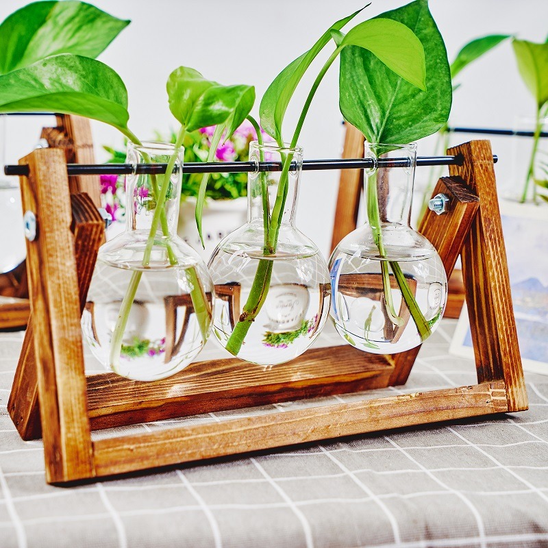 Tabletop Glass Planter Propaga - Plant Growth Regulator avis et prix