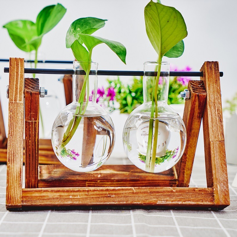 Tabletop Glass Planter Propaga - Plant Growth Regulator avis et prix