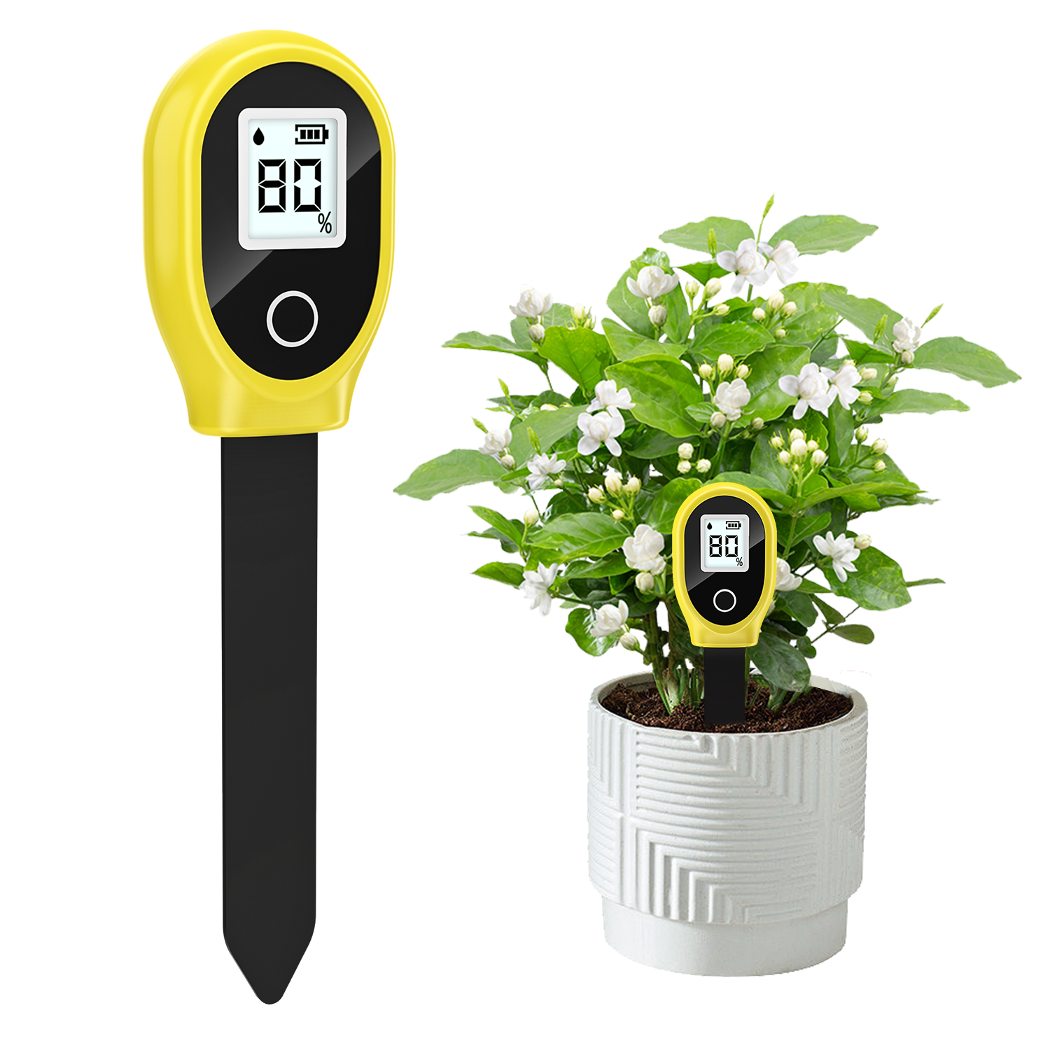 Soil Moisture Sensor Monitor P - Plant Growth Regulator avis et prix